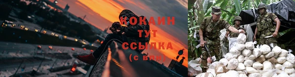 ПСИЛОЦИБИНОВЫЕ ГРИБЫ Арсеньев