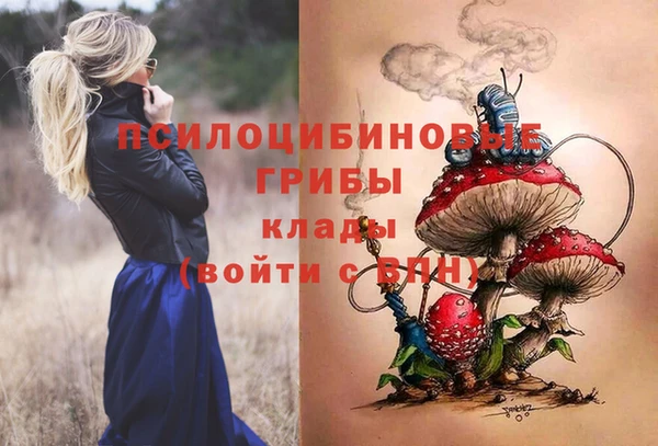 ПСИЛОЦИБИНОВЫЕ ГРИБЫ Арсеньев