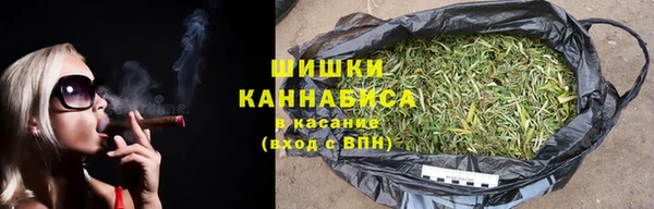 ПСИЛОЦИБИНОВЫЕ ГРИБЫ Арсеньев